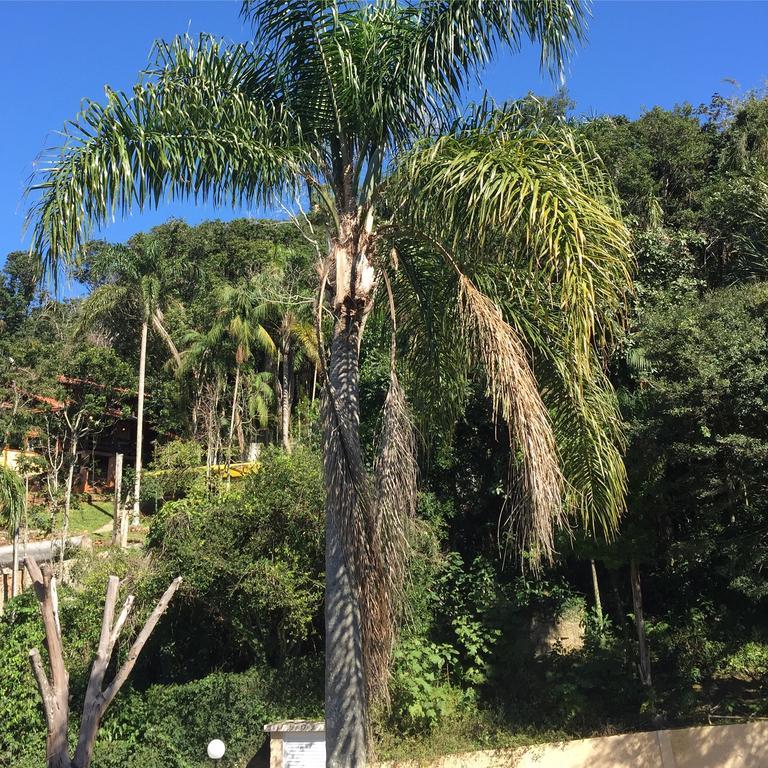 Florianópolis Casa Figueira Na Pedra酒店 外观 照片